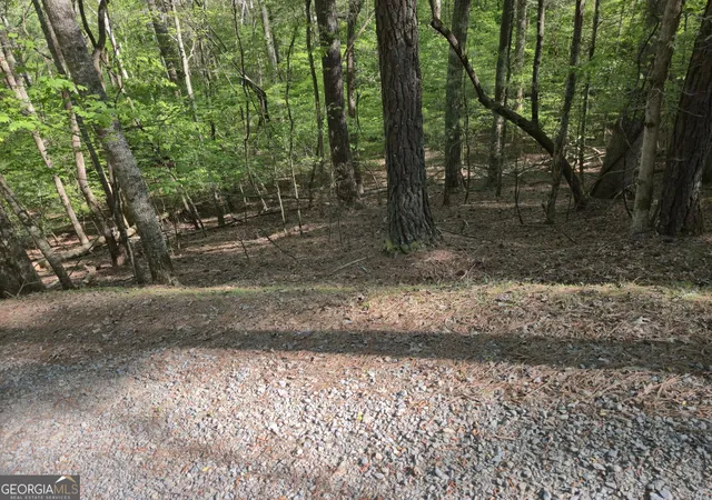 Photo 3 of Land for sale at 0 Hart Ct, Ellijay, GA 30540 | MLS# 10775683 | Listing updated on 2026-06-15