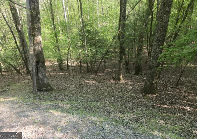 Photo 4 of Land for sale at 0 Hart Ct, Ellijay, GA 30540 | MLS# 10775683 | Listing updated on 2026-06-15