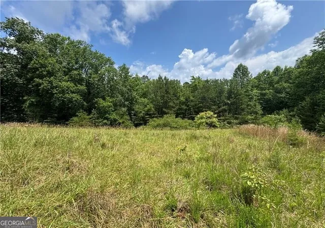 Photo 1 of Land for sale at 0 Ben Higgins Rd, Dahlonega, GA 30533 | MLS# 10787446 | Listing updated on 2026-10-29