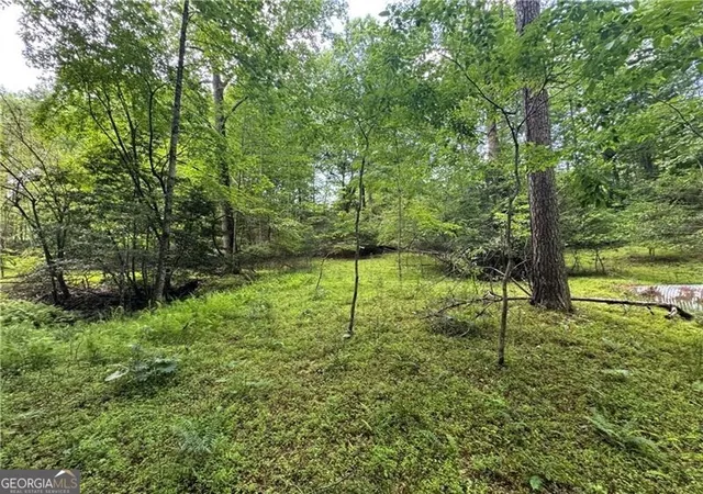 Photo 3 of Land for sale at 0 Ben Higgins Rd, Dahlonega, GA 30533 | MLS# 10787446 | Listing updated on 2026-10-29