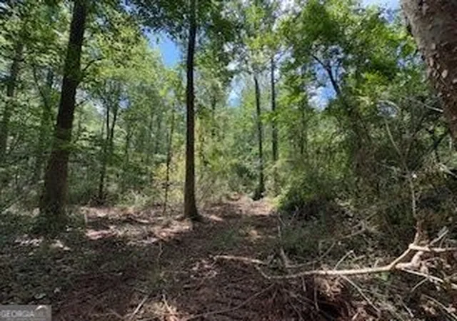 1st image of Lot 17 Smith Rd, Thomaston, GA 30286 | MLS# 10831764