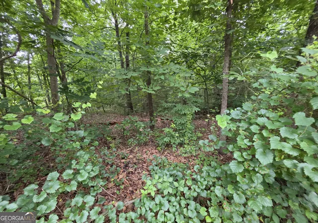 Photo 2 of Land for sale at Lot 15 Harbor Hts Cir, Lavonia, GA 30553 | MLS# 10777098 | Listing updated on 2026-06-16