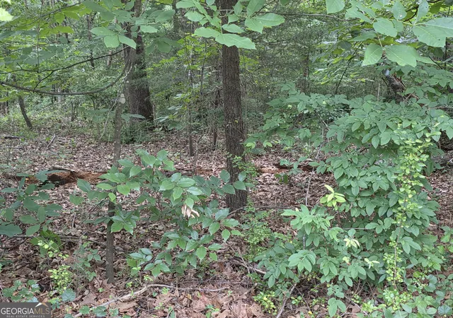 Photo 3 of Land for sale at Lot 15 Harbor Hts Cir, Lavonia, GA 30553 | MLS# 10777098 | Listing updated on 2026-06-16