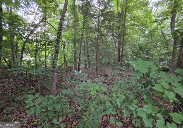 Photo 4 of Land for sale at Lot 15 Harbor Hts Cir, Lavonia, GA 30553 | MLS# 10777098 | Listing updated on 2026-06-16