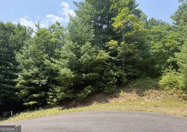 Photo 1 of Land for sale at 0 Whisper Ridge Ct, Hiawassee, GA 30546 | MLS# 10815790 | Listing updated on 2026-08-13