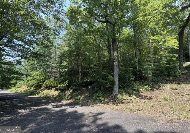 Photo 3 of Land for sale at 0 Whisper Ridge Ct, Hiawassee, GA 30546 | MLS# 10815790 | Listing updated on 2026-08-13