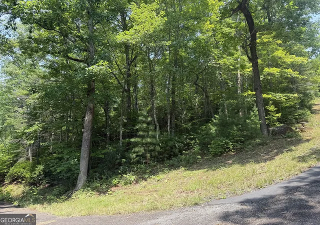 Photo 3 of Land for sale at 0 Whisper Ridge Ct, Hiawassee, GA 30546 | MLS# 10815790 | Listing updated on 2026-08-13