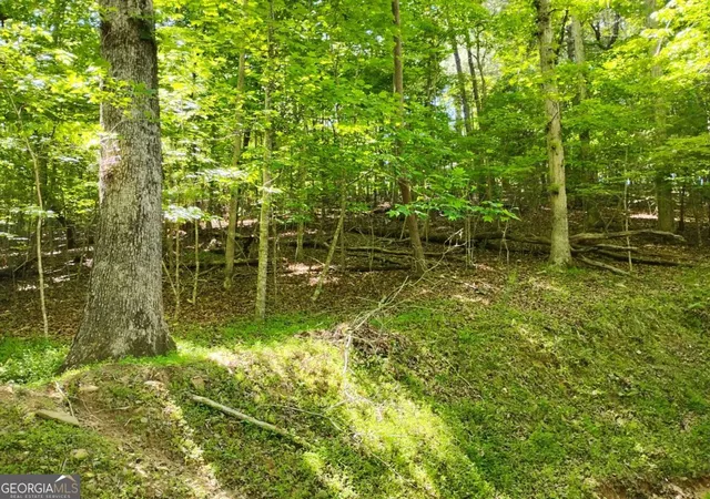 Photo 1 of Land for sale at 0 Gladstone Ct #967, 968, Ellijay, GA 30540 | MLS# 10764892 | Listing updated on 2026-05-28