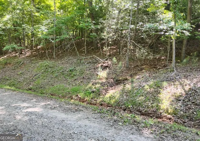 Photo 2 of Land for sale at 0 Gladstone Ct #967, 968, Ellijay, GA 30540 | MLS# 10764892 | Listing updated on 2026-05-28