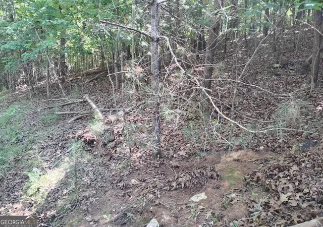 Photo 3 of Land for sale at 0 Gladstone Ct #967, 968, Ellijay, GA 30540 | MLS# 10764892 | Listing updated on 2026-05-28