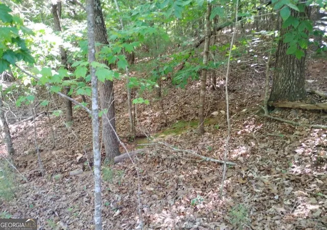 Photo 4 of Land for sale at 0 Gladstone Ct #967, 968, Ellijay, GA 30540 | MLS# 10764892 | Listing updated on 2026-05-28