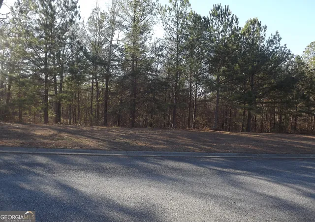 Homes for sale in Cedartown, GA | Lot 10 Sunset Loop, Cedartown, GA 30125 | MLS# 10663751