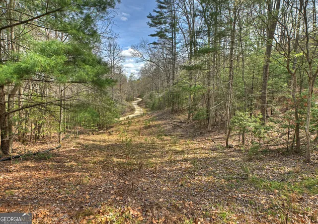32nd image of 57 Meadow Hl, Morganton, GA 30560 | MLS# 10821634