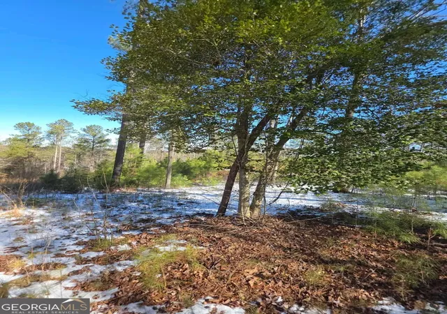 15th image of Lot 56 Hornets Bridge Dr, Elberton, GA 30635 | MLS# 10685283