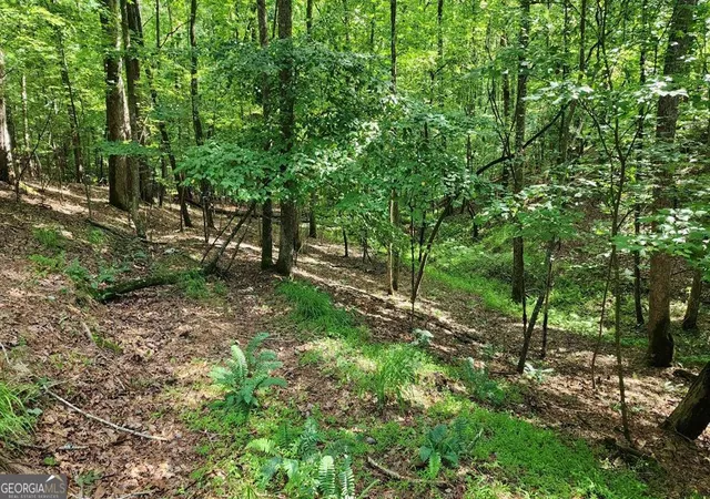Photo 1 of Land for sale at Lot 838 Oneida Cir, Ellijay, GA 30540 | MLS# 10759710 | Listing updated on 2026-05-21