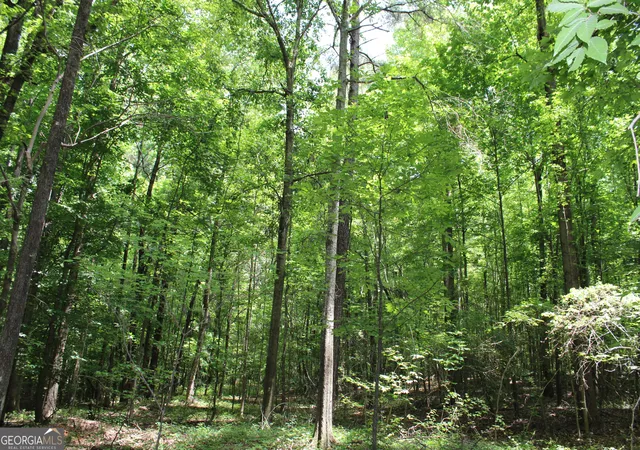 18th image of 2 Neese Commerce Road, Commerce, GA 30530 | MLS# 10766316