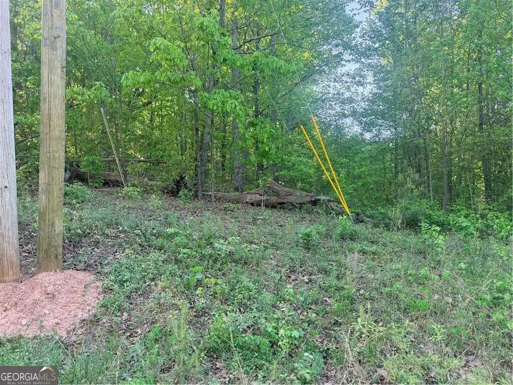 Land for sale at 0000 Mountain View Cir, Bremen, GA 30110 | MLS# 10857467