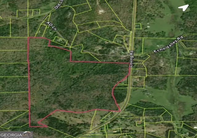 Photo 2 of Land for sale at 0 Loving Rd, Morganton, GA 30560 | MLS# 10647446 | Listing updated on 2025-12-04