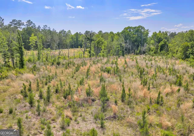 Homes for sale in Sylvester, GA | 0 Us 82, Sylvester, GA 31791 | MLS# 10757052
