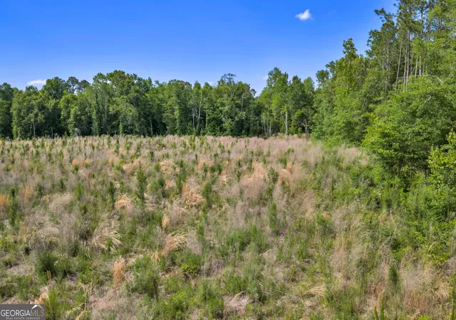 Homes for sale in Sylvester, GA | 0 Us 82, Sylvester, GA 31791 | MLS# 10757052