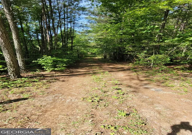 3rd image of 8235 W Carroll Rd, Whitesburg, GA 30185 | MLS# 10764344