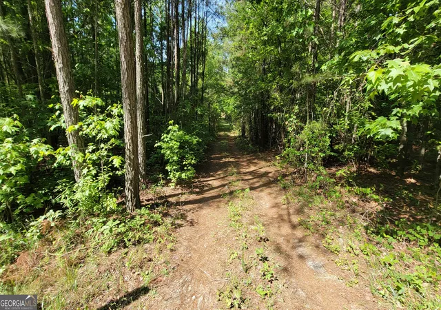 4th image of 8235 W Carroll Rd, Whitesburg, GA 30185 | MLS# 10764344