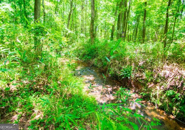 1st image of 0 White Rd, Pine Mountain, GA 31822 | MLS# 10828912