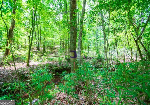 22nd image of 0 White Rd, Pine Mountain, GA 31822 | MLS# 10828912