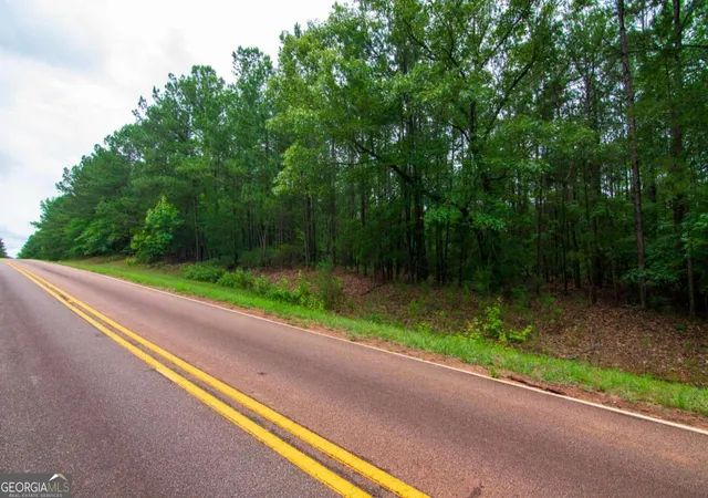 Photo 3 of Land for sale at 0 White Rd, Pine Mountain, GA 31822 | MLS# 10828912 | Listing updated on 2026-09-02