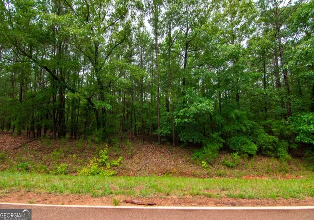 Photo 4 of Land for sale at 0 White Rd, Pine Mountain, GA 31822 | MLS# 10828912 | Listing updated on 2026-09-02