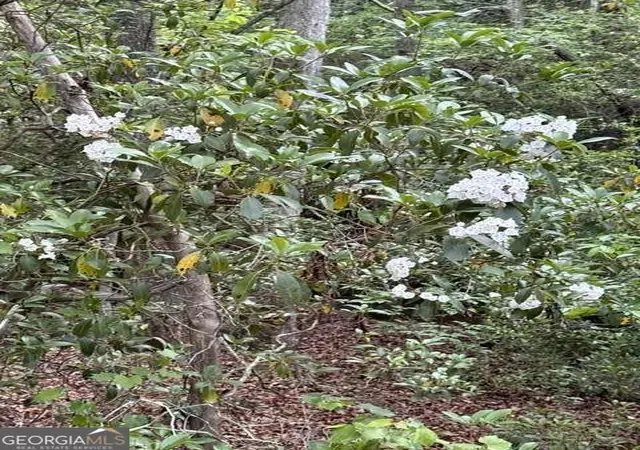 Photo 2 of Land for sale at 9180 Oliver Ml Rd, Lula, GA 30554 | MLS# 10758234 | Listing updated on 2026-10-08