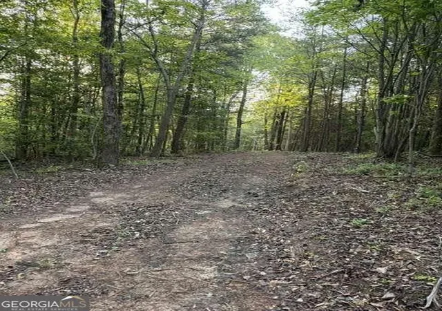 Photo 4 of Land for sale at 9180 Oliver Ml Rd, Lula, GA 30554 | MLS# 10758234 | Listing updated on 2026-10-08