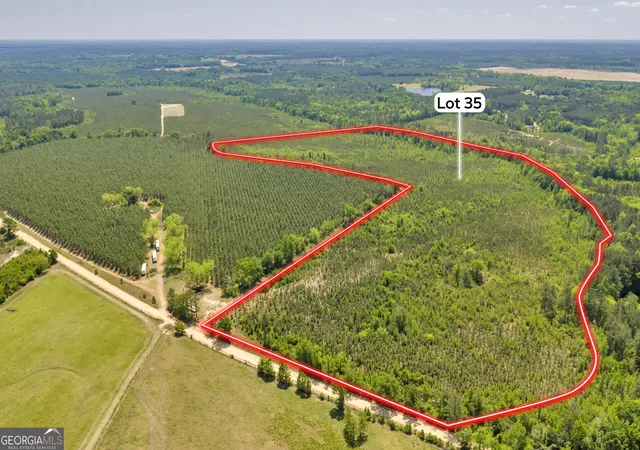 12th image of 0 Snowhill Church Rd, Cadwell, GA 31009 | MLS# 10781518