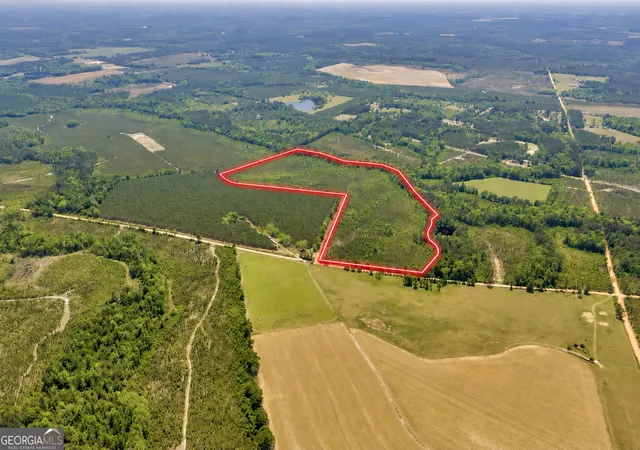 1st image of 0 Snowhill Church Rd, Cadwell, GA 31009 | MLS# 10781518