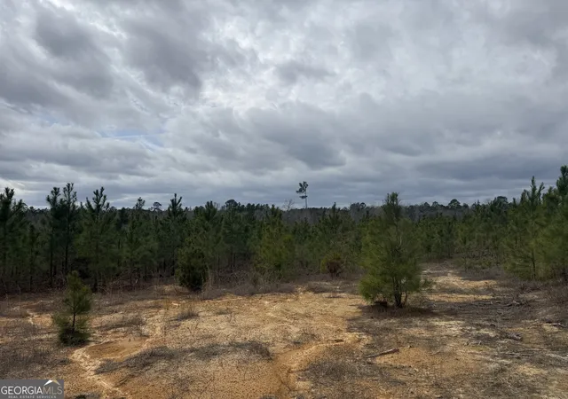 4th image of 0 Snowhill Church Rd, Cadwell, GA 31009 | MLS# 10781518
