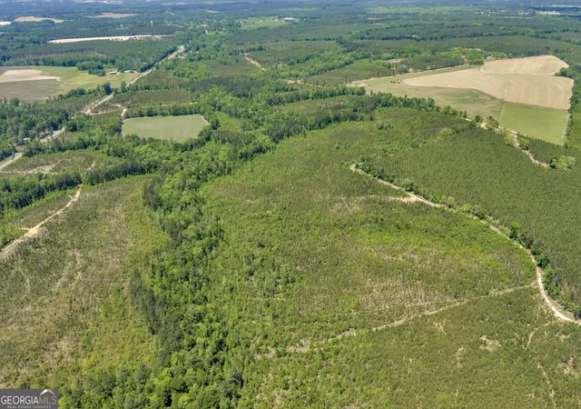 5th image of 0 Snowhill Church Rd, Cadwell, GA 31009 | MLS# 10781518