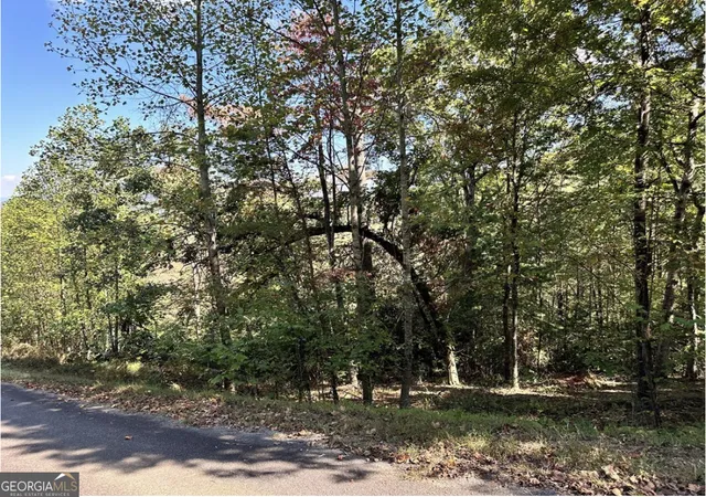 Photo 3 of Land for sale at Lot 3 Ruby Ridge, Young Harris, GA 30582 | MLS# 10732968 | Listing updated on 2026-09-05