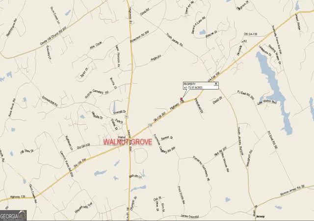 41st image of 3905 Georgia Hwy 138, Covington, GA 30014 | MLS# 10772235