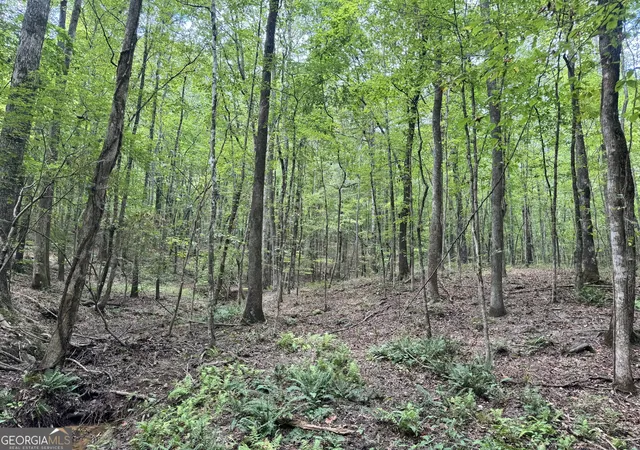 Photo 1 of Sale Pending at 9958 +/  Ac Peace Ln, Franklin, GA 30217 | MLS# 10702120 | Listing updated on 2026-08-03