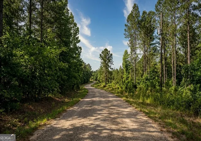 Homes for sale in Nauvoo, AL | 0 Sandcut Road #LOT 1, Nauvoo, AL 35578 | MLS# 10800880