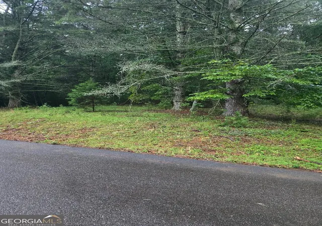 2nd image of Lot 6 B And W Ranch Rd, Blairsville, GA 30512 | MLS# 10808702