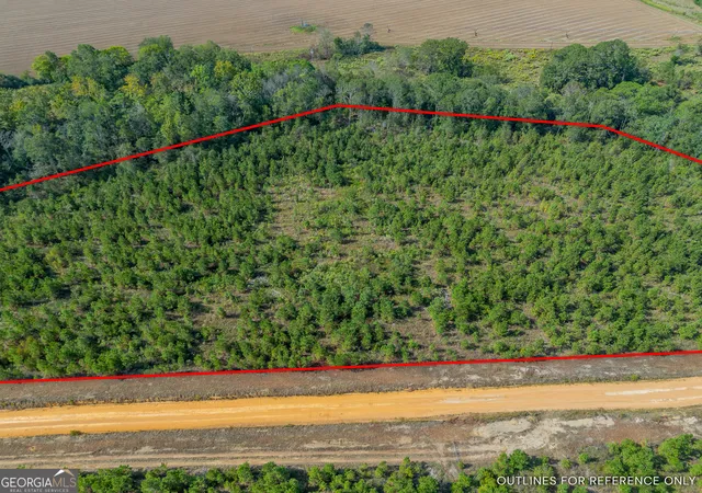 3rd image of 0 United Church Rd, Jacksonville, GA 31544 | MLS# 10623149