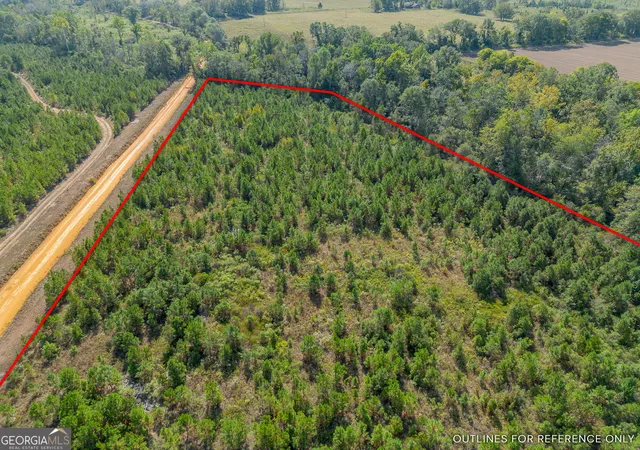 5th image of 0 United Church Rd, Jacksonville, GA 31544 | MLS# 10623149