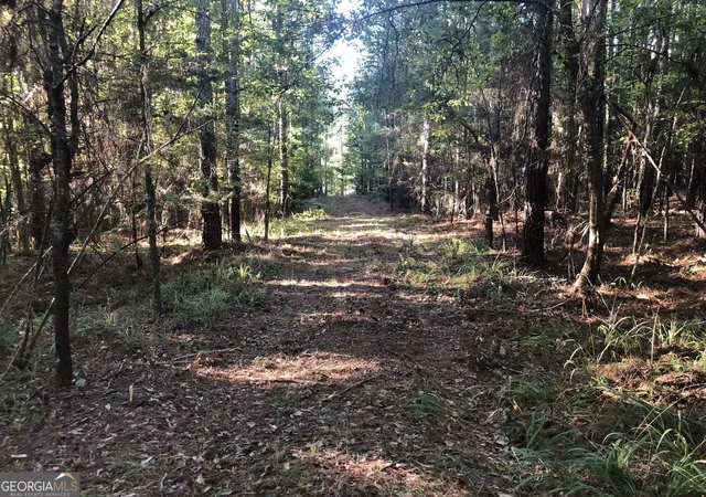 Homes for sale in Thomaston, GA | Lot 10 Triune Mill Rd, Thomaston, GA 30286 | MLS# 10796426