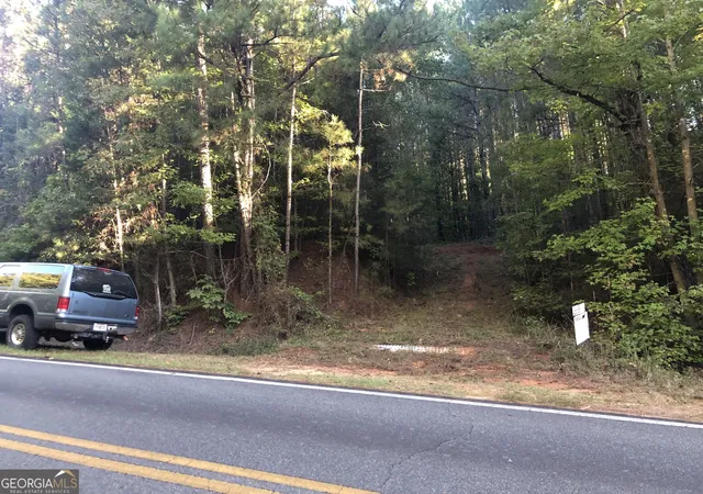 Homes for sale in Thomaston, GA | Lot 10 Triune Mill Rd, Thomaston, GA 30286 | MLS# 10796426