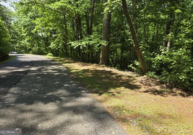 12th image of 66 67 Erst Strasse, Helen, GA 30545 | MLS# 10780355