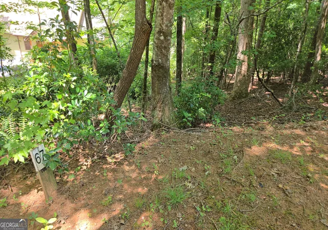 2nd image of 66 67 Erst Strasse, Helen, GA 30545 | MLS# 10780355