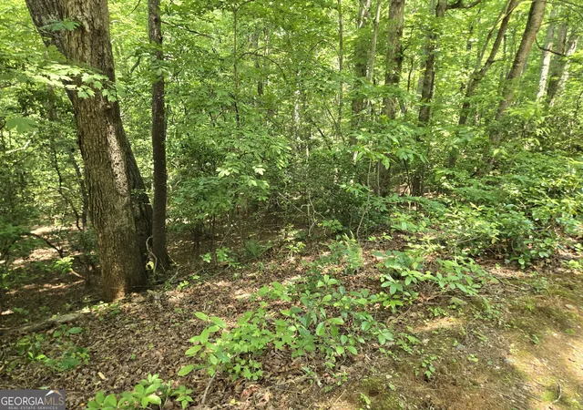5th image of 66-67 Erst Strasse, Helen, GA 30545 | MLS# 10780355