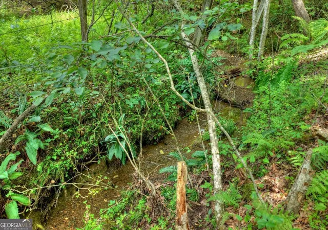 1st image of 00 Scots Glen Rd, Mineral Bluff, GA 30559 | MLS# 10804408
