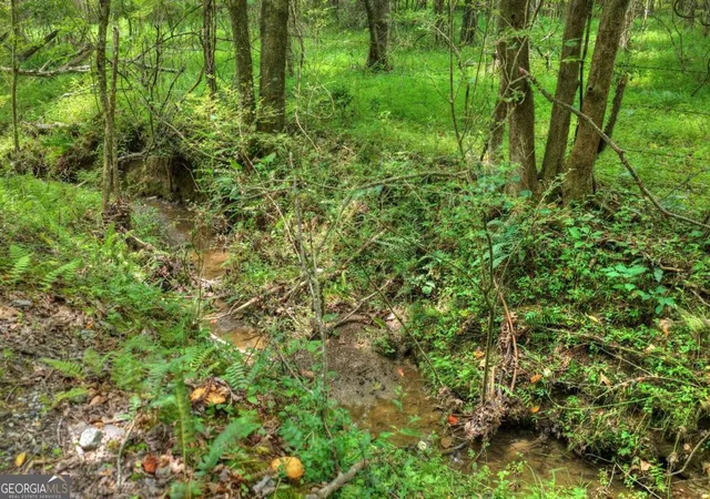 2nd image of 00 Scots Glen Rd, Mineral Bluff, GA 30559 | MLS# 10804408